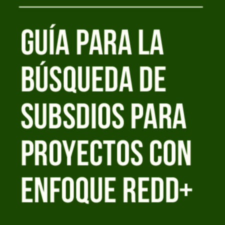 Guía para la Búsqueda de subsidios para proyectos con enfoque REDD.pdf
