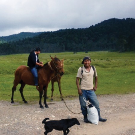 Cómo el sector de desarrollo social puede sumar esfuerzos para la mitigación al cambio climático en el contexto REDD+.pdf