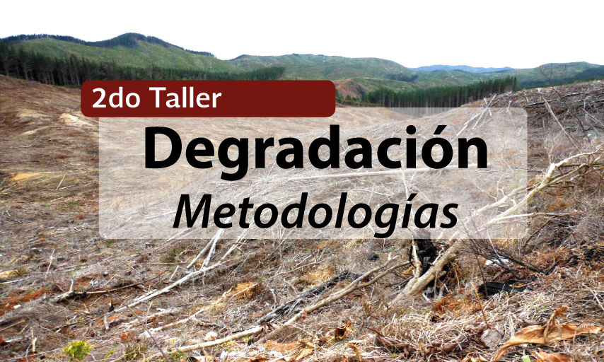 Taller Regional: Elementos, métodos y herramientas para cuantificar degradación forestal