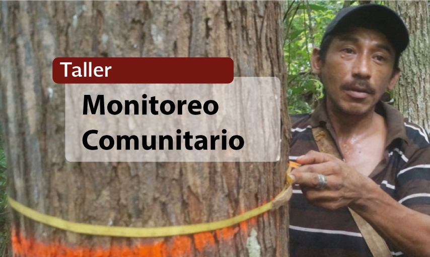 Taller Presencial Monitoreo Comunitario