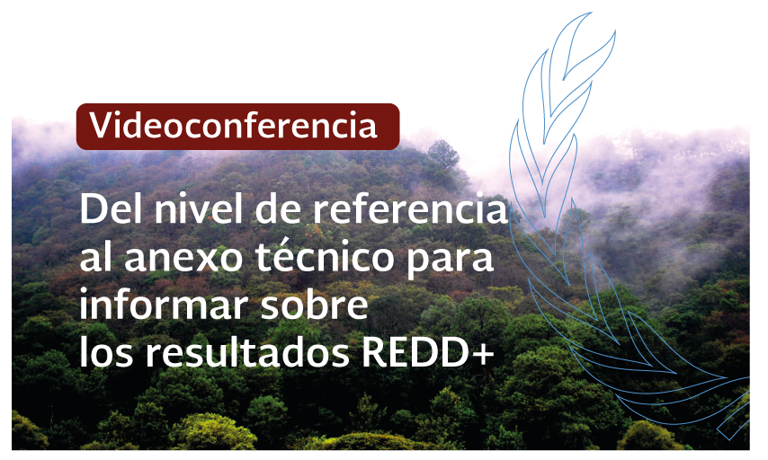 Videoconferencia: Del nivel de referencia al anexo técnico para informar sobre los resultados REDD+