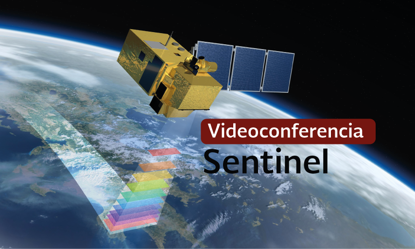 Videoconferencia sobre Sentinel