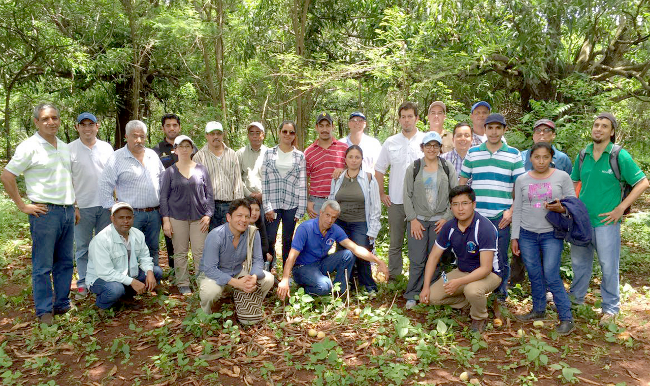 Herramientas taller activity