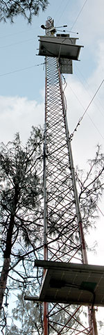 Torre_Th_150