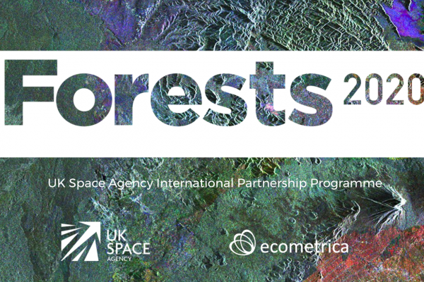 IPP Forest2020 México Capacitación técnica en el EO Lab (Ecometrica)