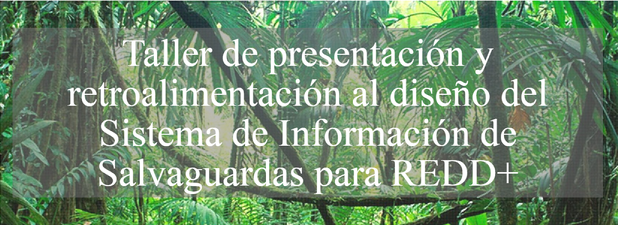 TALLER DE PRESENTACIÓN Y RETROALIMENTACIÓN AL DISEÑO DEL SISTEMA DE INFORMACIÓN DE SALVAGUARDAS (SIS) PARA REDD+