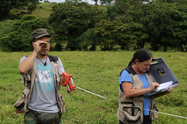 Invitación a Video-conferencia sobre Retos para la actualización continua de los Inventarios Forestales Nacionales