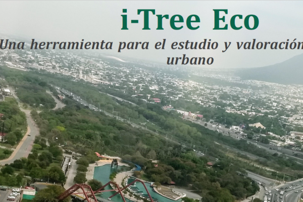 Taller “Capacitación del Programa I–Tree Una herramienta para el estudio y valoración del bosque urbano”
