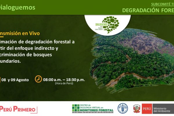 Taller “Estimación de degradación forestal a partir del enfoque indirecto y discriminación de bosques secundarios”