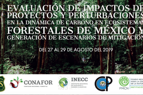 Taller “Evaluación de impactos de proyectos y perturbaciones en la dinámica de carbono en ecosistemas forestales de México y generación de escenarios de mitigación”