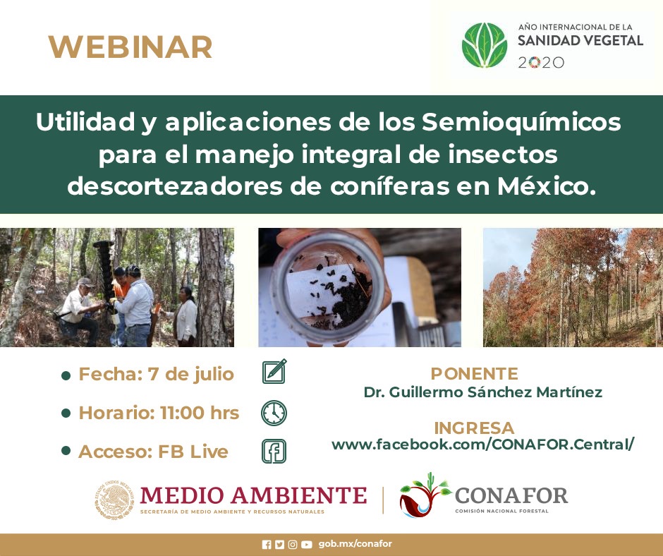 Webinar Utilidad y aplicaciones de los Semioquímicos para el manejo integral de insectos descortezadores de coníferas en México